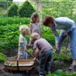 Gardening Tips for Beginners