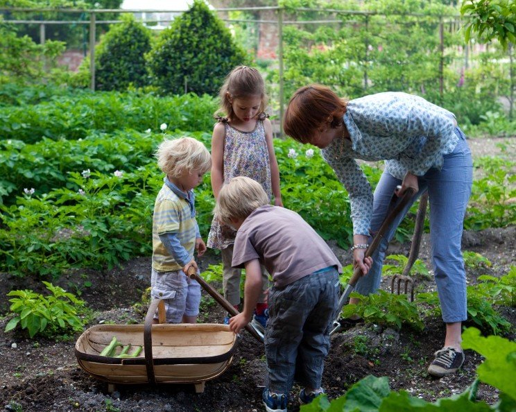 Gardening Tips for Beginners