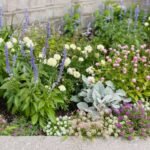Better Homes Garden Plans